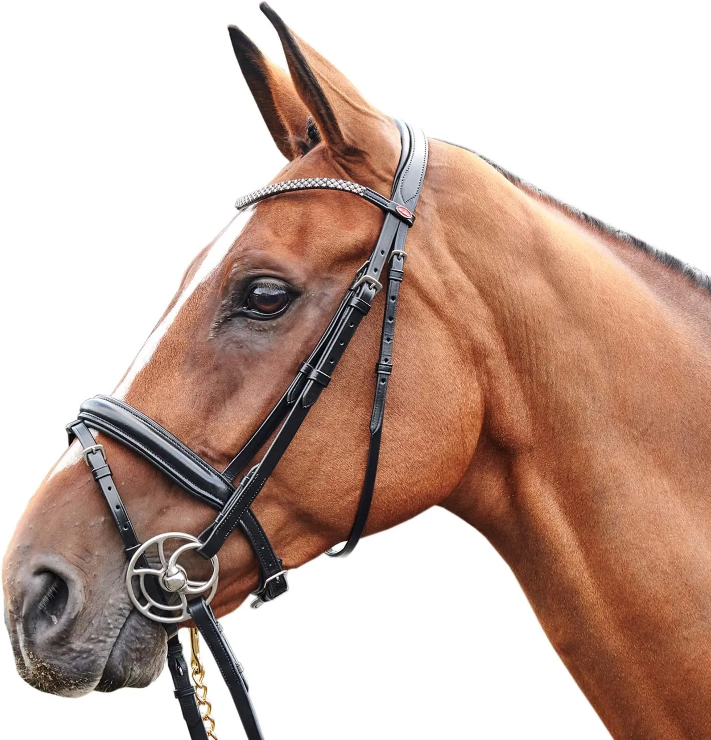 Barton Bling Flash Snaffle Bridle Pony Black