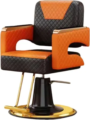 Classic Checkered Barber Chair - Ergonomic 360° Swivel Salon Chair with Hydraulic Lift,Black/c