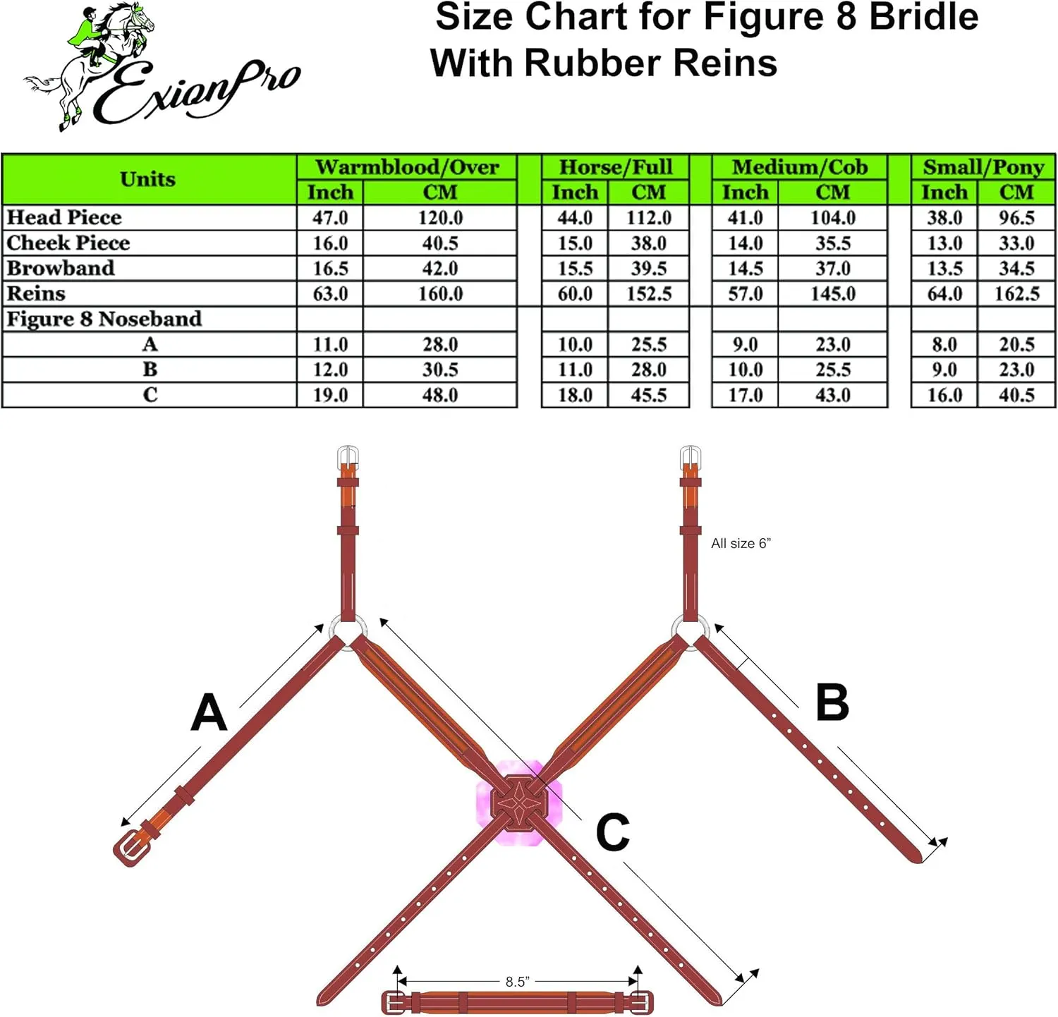 Exion Horse Figure 8 Bridle with Leather Laced Rein | English Jumping Figure 8 Bridle for Horses
