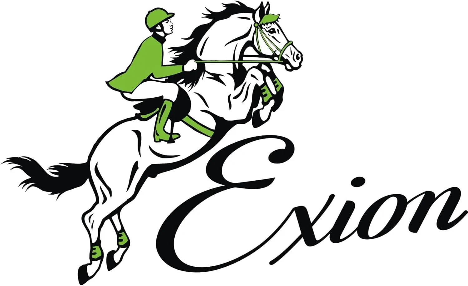 Exion Horse Figure 8 Bridle with Leather Laced Rein | English Jumping Figure 8 Bridle for Horses