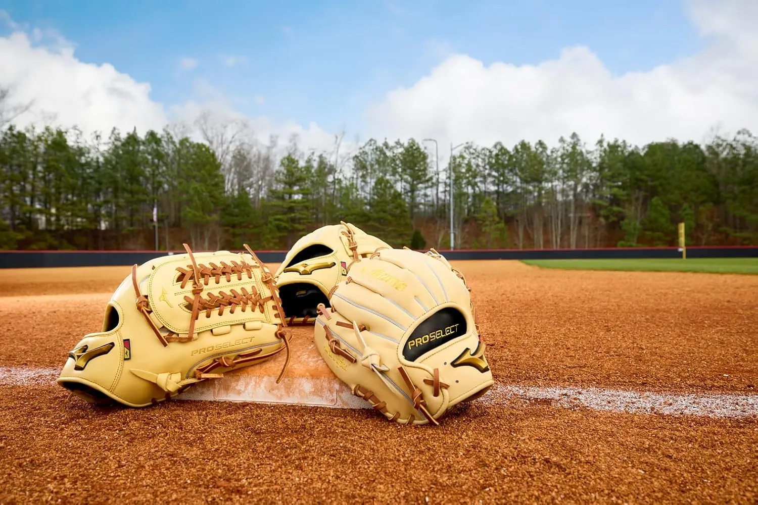 Mizuno Pro Select