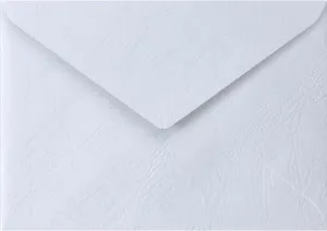 Sasagawa 16-72041 2 Western Envelopes Taka Seal Paletta Noble White, 1 Bag, 25 Sheets